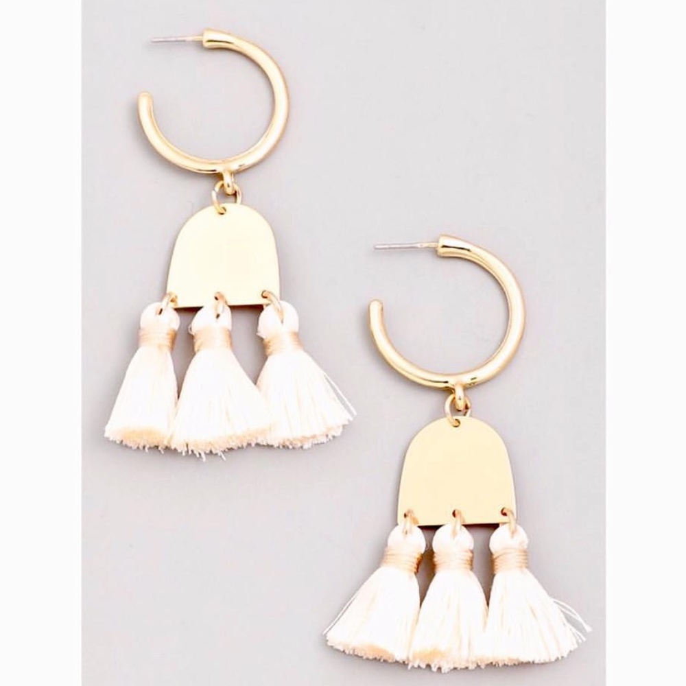 Tassel and Hoop Earrings